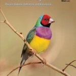 Birds and Animals of Australia&#039;s Top End: Darwin, Kakadu, Katherine, and Kununurra