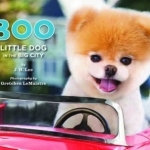 Boo: Little Dog in the Big City