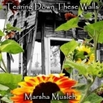 Tearing Down These Walls by Marsha Musleh