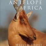 The Antelope of Africa
