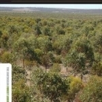 Large-Scale Forest Restoration