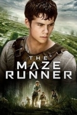 The Maze Runner (2014)