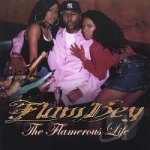Flamerous Life by FLAMBEY