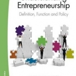 Understanding Entrepreneurship: Definition, Function &amp; Policy