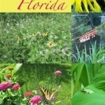 Sustainable Gardening for Florida