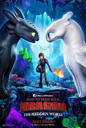 How To Train Your Dragon: The Hidden World (2019)