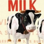 Milk