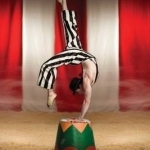 Accrobaddict: A Contortionist&#039;s Heroin Romance