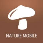 Mushrooms PRO Hunting Safely