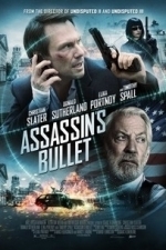 Assassin&#039;s Bullet (2012)
