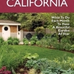 California Month-by-Month Gardening: What to Do Each Month to Have a Beautiful Garden All Year