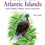 A Field Guide to the Birds of the Atlantic Islands: Canary Islands, Madeira, Azores, Cape Verde