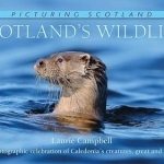 Scotland&#039;s Wildlife: A Photographic Celebration of Caledonia&#039;s Creatures, Great and Small