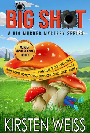 Big Shot (A Big Murder Mystery #1) by Kirsten Weiss