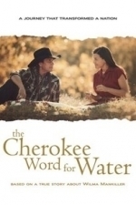 The Cherokee Word For Water (2013)