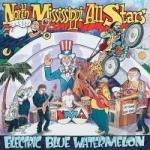 Electric Blue Watermelon by North Mississippi Allstars