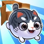 Kitty in the Box 2 - A box diving adventure!