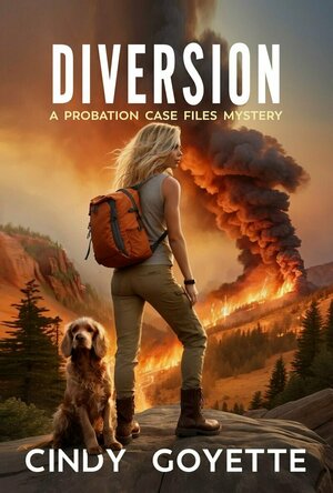 Diversion (Probation Case Files #3)