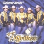 Dejando Huella by Los Tigrillos