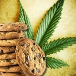 Weed Cookbook 2 - Medical Marijuana Recipes &amp; Cook