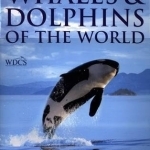 Whales and Dolphins of the World