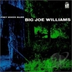 Piney Woods Blues by Big Joe Williams