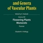 Flowering Plants. Monocots: Poaceae