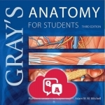 Gray&#039;s Anatomy Flash Cards (Hot Spots and Q&amp;A)