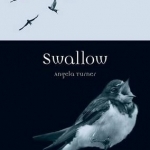 Swallow