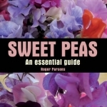 Sweet Peas: An Essential Guide