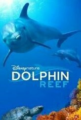 Dolphin Reef (2018)