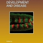 T-Box Genes in Development and Disease