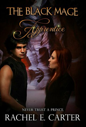 Apprentice (The Black Mage #2)