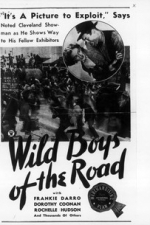 Wild Boys of the Road (Dangerous Days) (1933)