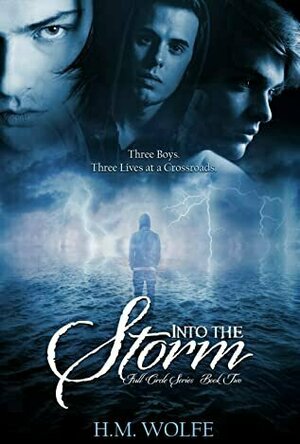 Into The Storm (Full Circle #2)