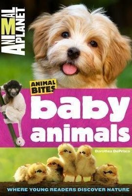 Animal Planet Baby Animals