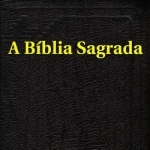 A Bíblia Sagrada (Portuguese Bible)