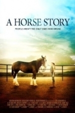 A Horse Story (2015)