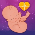 Baby&#039;s Heart Beat Monitor: Fetal Heartbeat Doppler