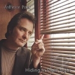Hiding in Plain Sight by Anthony Paule