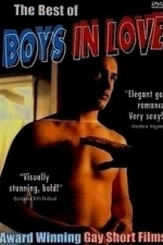 Best of Boys in Love (2000)