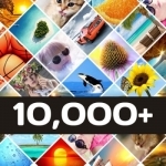 10000+ Wallpapers | FREE Backgrounds & Themes