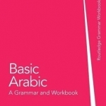 Basic Arabic: a grammar and workbook