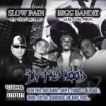 In the Hood by Slow Pain