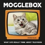 Mogglebox: What Cats Really Think About Television