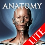 DS ANATOMY HEAD &amp; NECK MUSCULOSKELETAL SYSTEM Lite