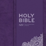 NIV Thinline Bible: v. 1