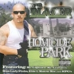 Homicide Park by Mr Blazer