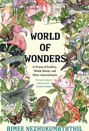 World of Wonders