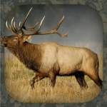 Elk Hunting Calls